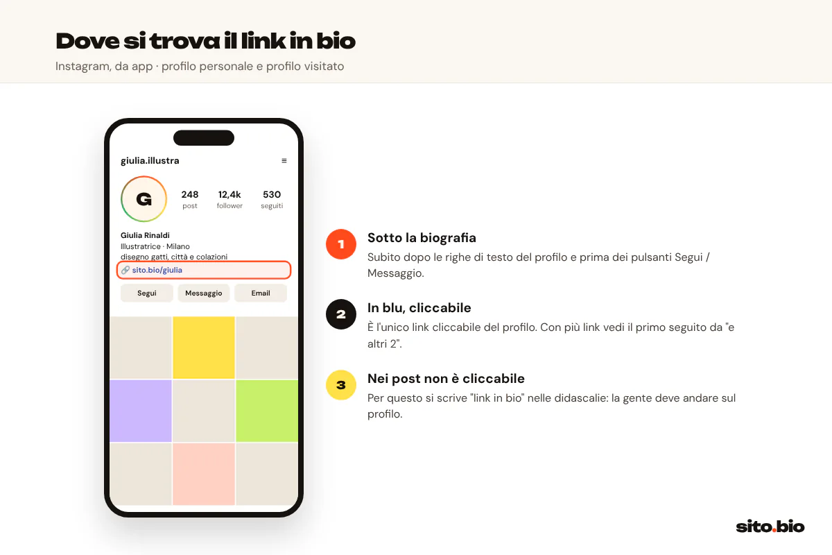 Dove si trova il link in bio su Instagram, sotto la biografia e sopra i pulsanti Segui e Messaggio